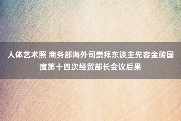 人体艺术照 商务部海外司崇拜东谈主先容金砖国度第十四次经贸部长会议后果