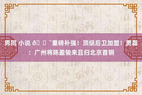 男同 小说 ?重磅补强！顶级后卫加盟！贾磊：广州将陈盈骏来且归北京首钢