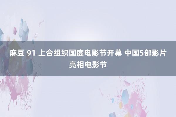 麻豆 91 上合组织国度电影节开幕 中国5部影片亮相电影节